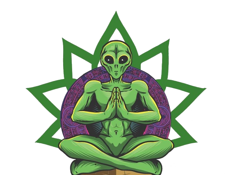 Flor da Paz Head Shop